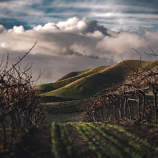 Umbria | Wine region