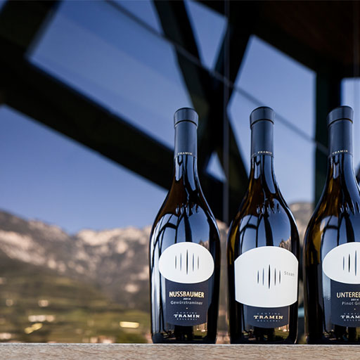 Tramin Winery | South Tyrol