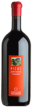 Picus Rosso Piceno Superiore MAGNUM DOC 2013