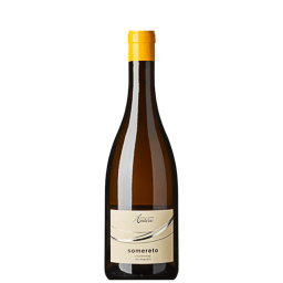 &acute;Somereto&acute; &middot; Chardonnay DOC 2024, Kellerei Andrian, S&uuml;dtirol