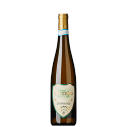 Ischia Bianco DOC 2024, Casa D'Ambra, Kampanien