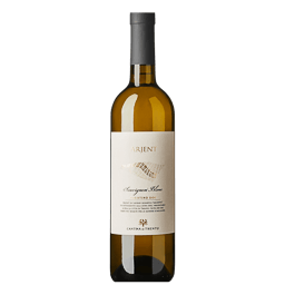 &acute;Arjent&acute; &middot; Sauvignon DOP 2023, Cantina di Trento, S&uuml;dtirol - Trentino