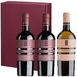 &acute;Geschenk: Tenuta le Quinte&acute; &middot; 2x Nasyr Syrah, 1x Canestraro Grechetto, Tenuta le Quinte, Latium