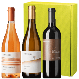 &acute;Geschenk: Librandi Klassiker&acute; &middot; 1x Critone Bianco, 1x Terre Lontane Rosato, 1x Duca Sanfelice, Librandi, Kalabrien