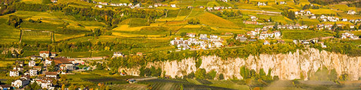 180+ Südtiroler Weißweine