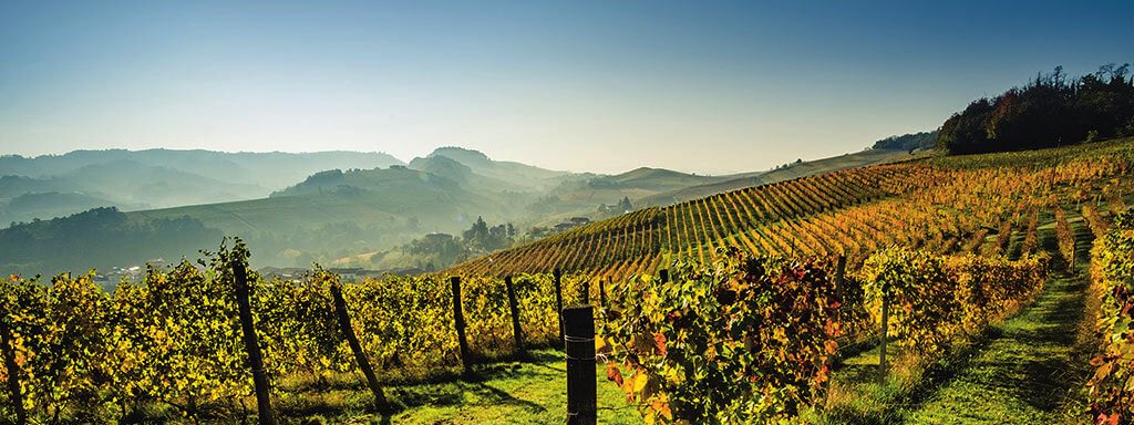 Piemont | Weinregion