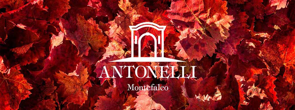 Antonelli | Umbria