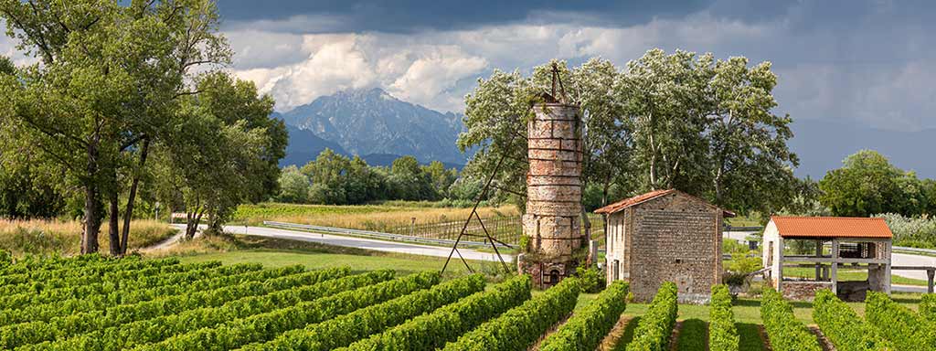 Chardonnay Friuli DOC 2021