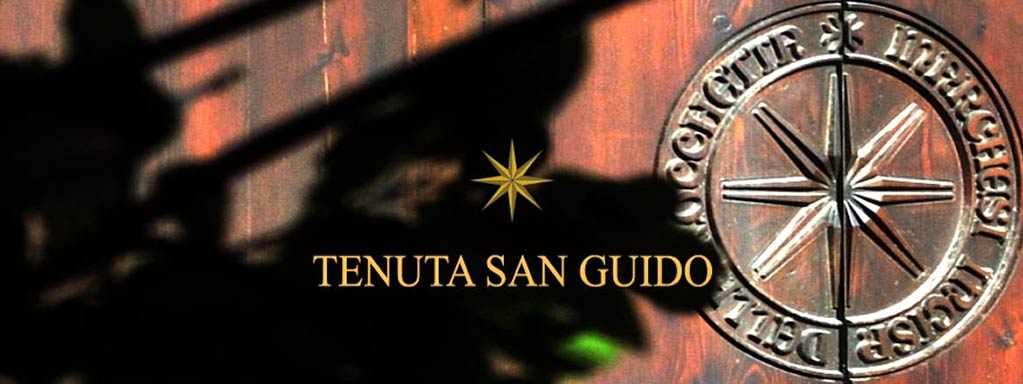 Tenuta San Guido | Toskana